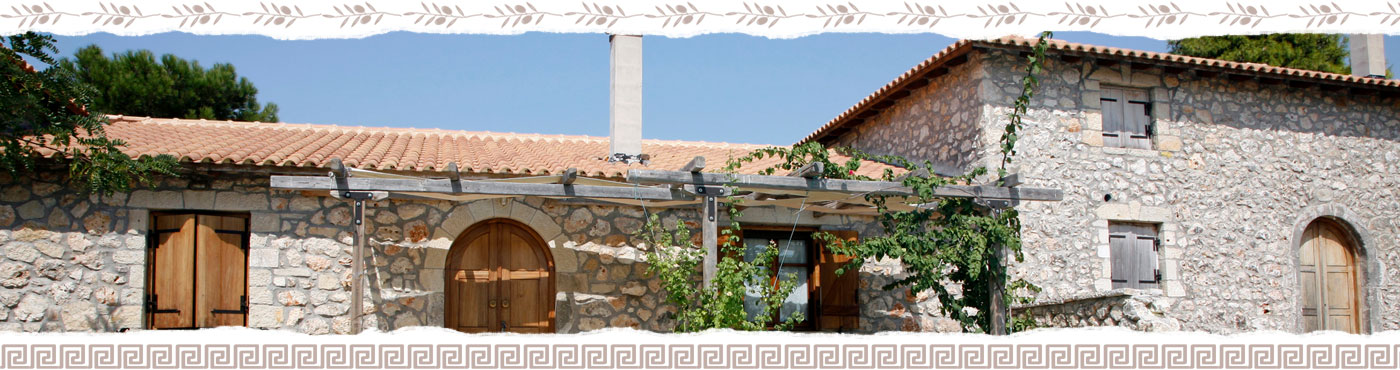 AVLI restaurant - banner1