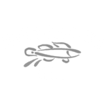 Lucky's Blind Fish Grill